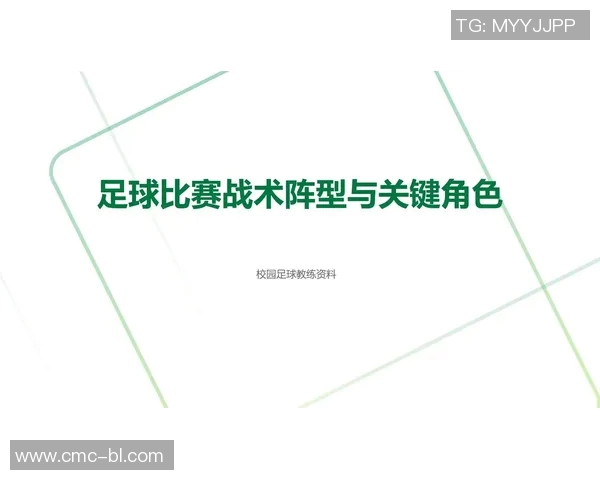 成都足球队的灵活性揭秘：从战术到球员的全面解析与展望