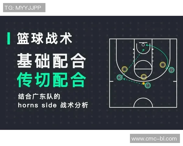 深入分析成都篮球队的整体压制战术及其在比赛中的应用效果