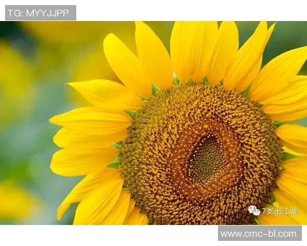 史鸿飞的传奇人生与奋斗历程揭示了时代变迁中的人性光辉与坚持信念的重要性 史鸿飞的传奇人生与奋斗历程揭示了时代变迁中的人性光辉与坚持信念的重要性