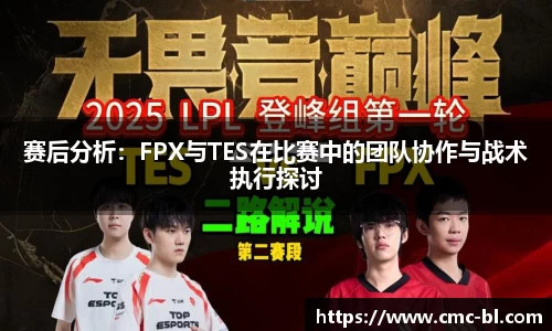 赛后分析:FPX与TES在比赛中的团队协作与战术执行探讨